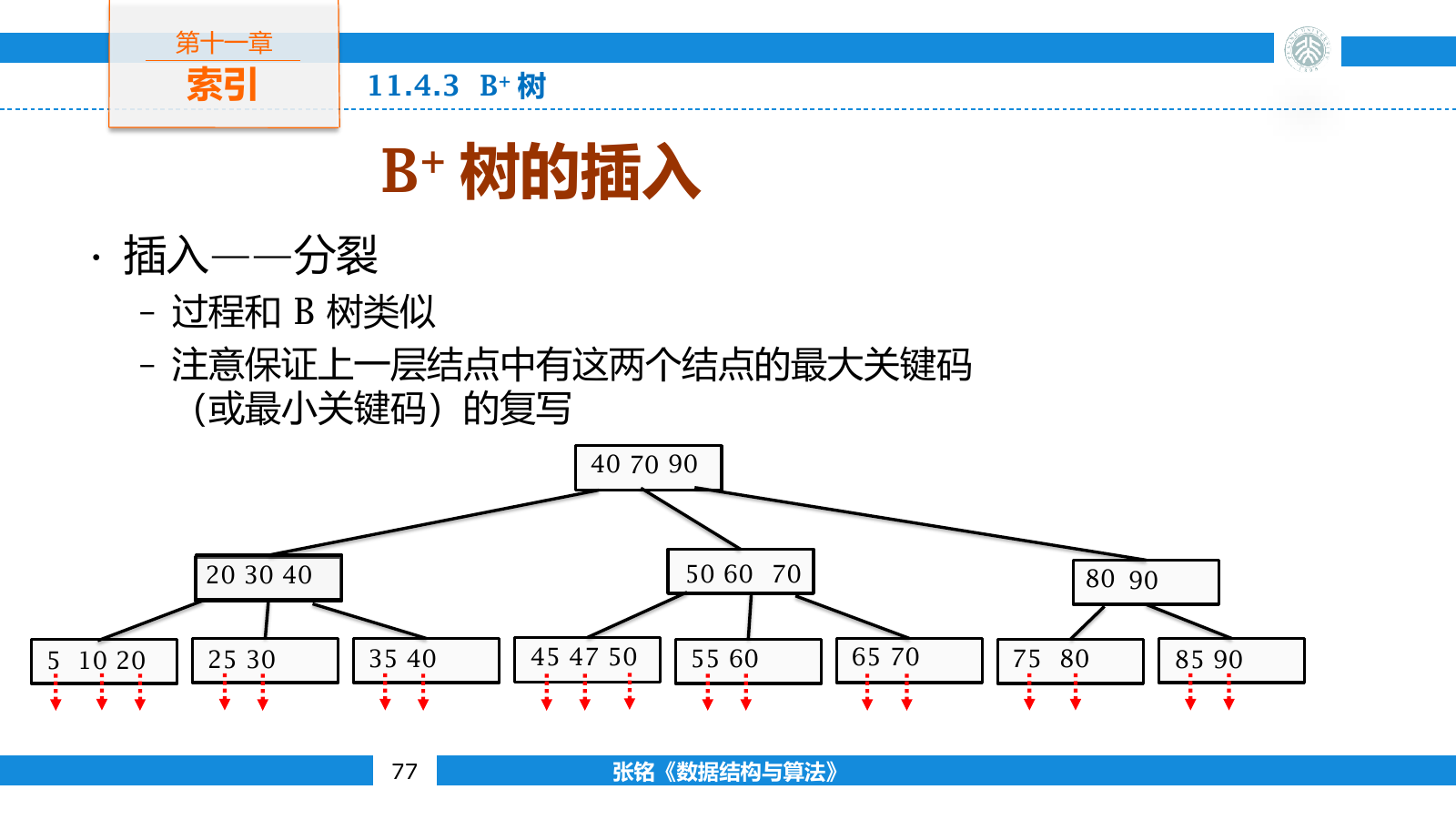 B+ 树插入记录后在叶层分裂并更新父结点分隔键