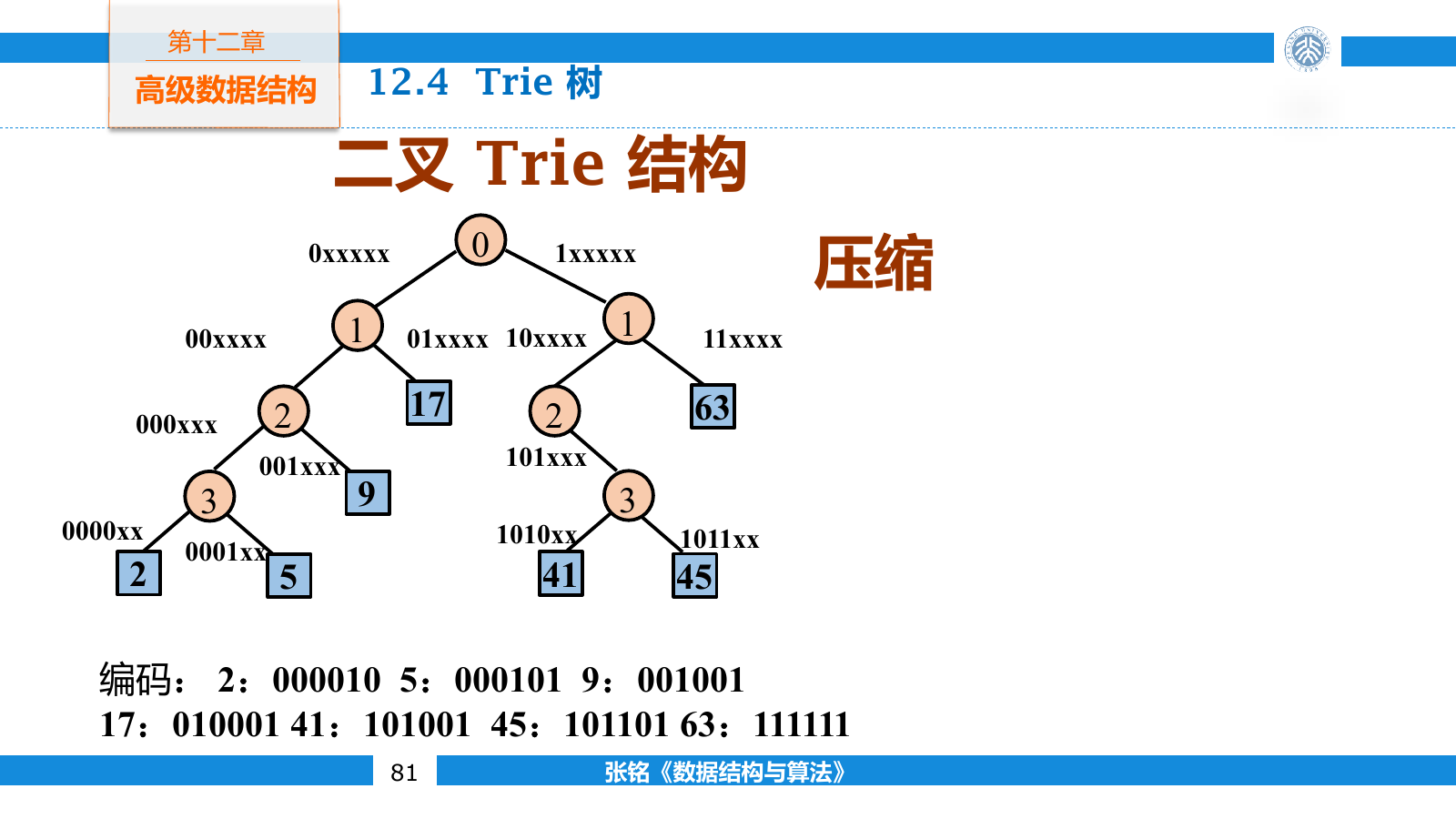 整数按二进制位逐层插入并压缩形成二进制 Trie