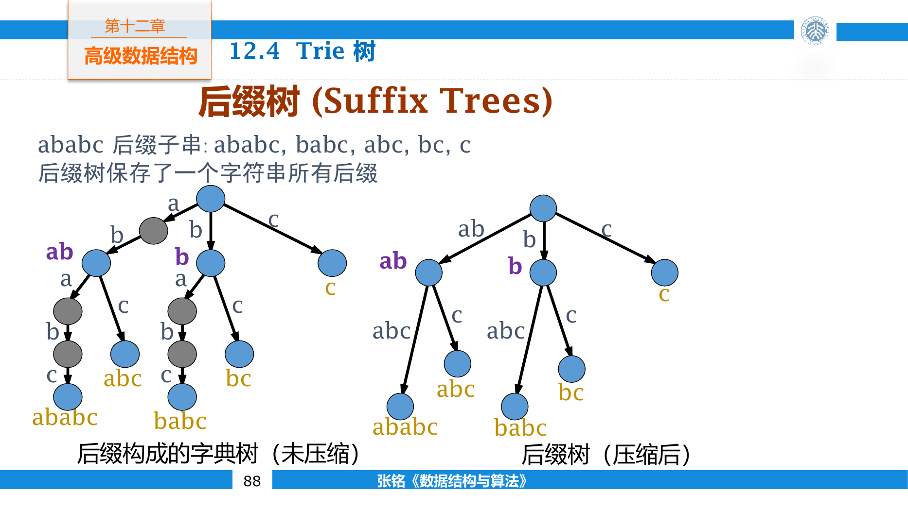 字符串全部后缀形成的普通 Trie 与压缩后缀树