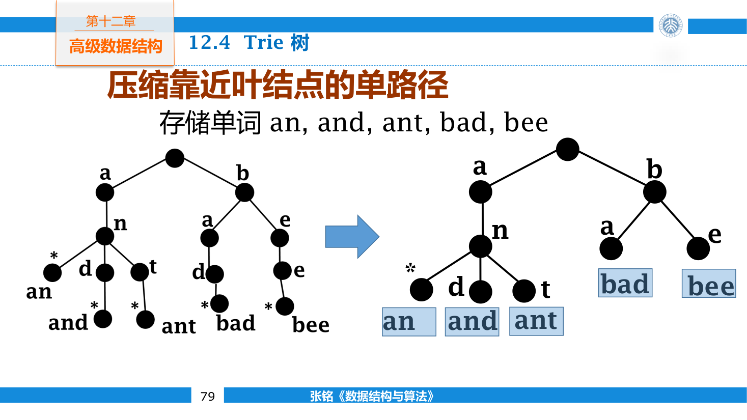 Trie 中靠近叶结点的单孩子路径被压缩为带标签的边