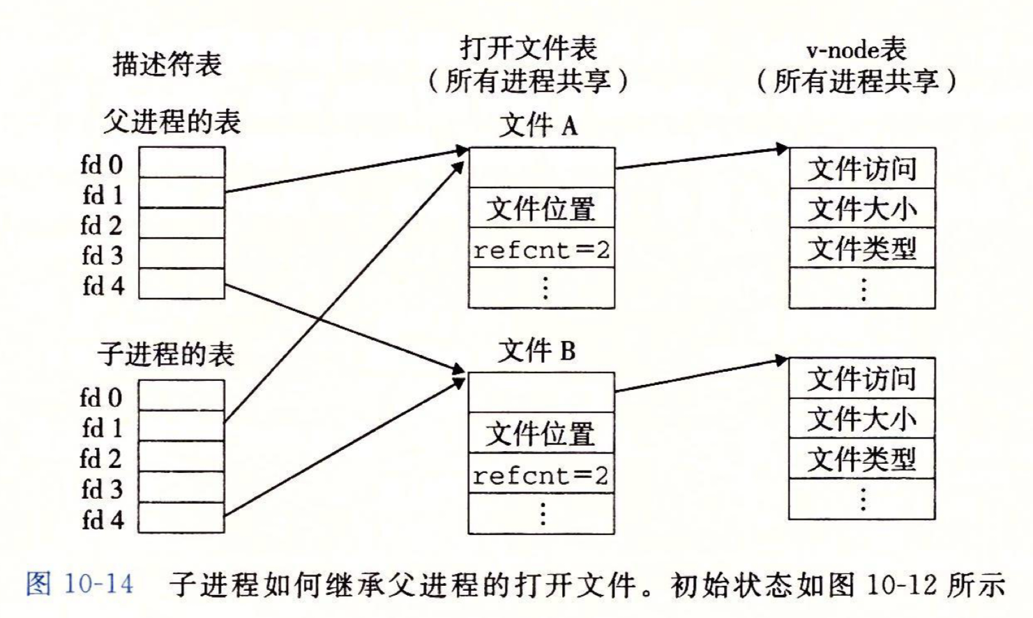 fork 后的文件表共享细节