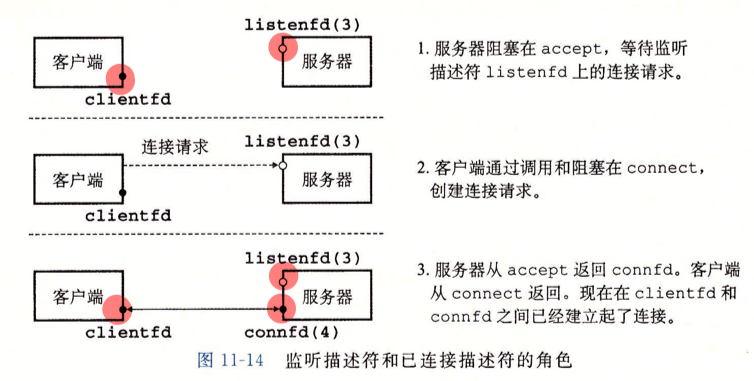 监听描述符与已连接描述符