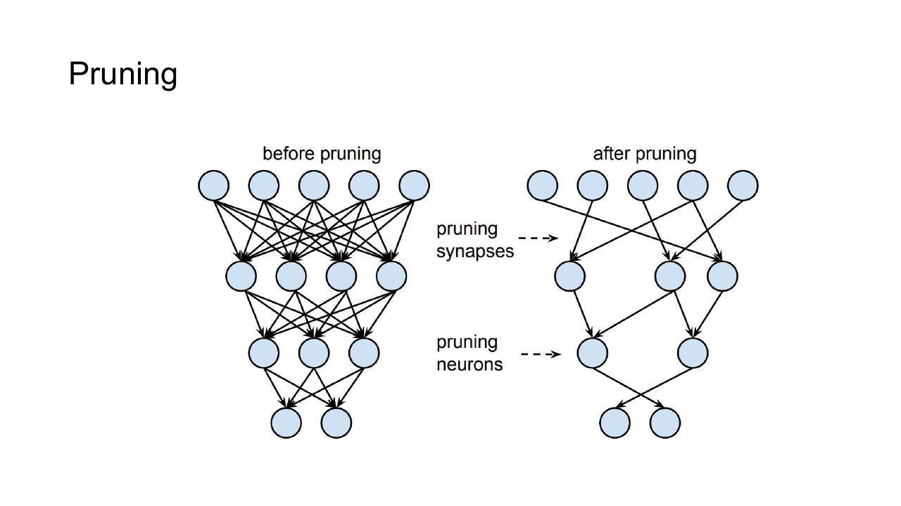Pruning